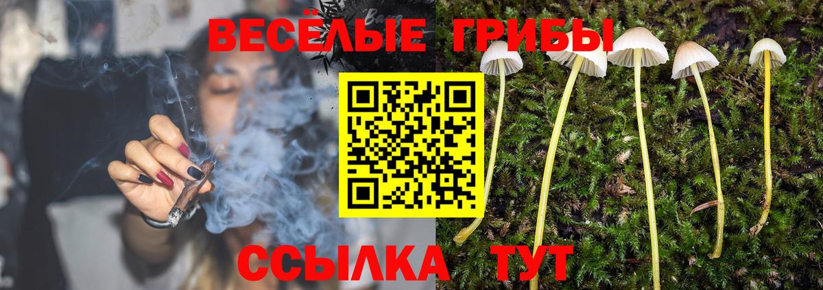 Галлюциногенные грибы мухоморы Омск
